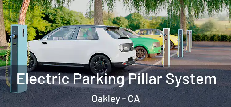  Electric Parking Pillar System Oakley - CA